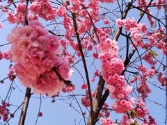 -名花谷生态庄园