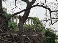 -棒棰岛宾馆景区