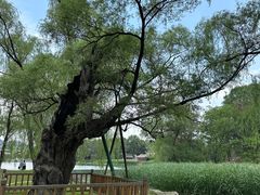 -承德避暑山庄景区