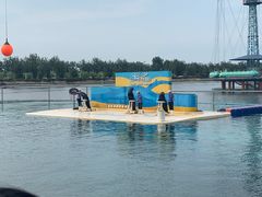 -秦皇岛乐岛海洋王国