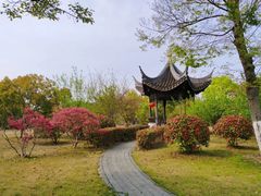 -梁鸿国家湿地公园