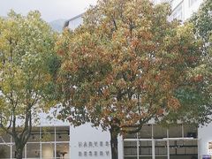 -收获咖啡HARVEST RESERVE(苍山店)