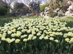 -上海鲜花港