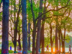 -东湖落雁景区