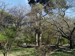 -北陵公园