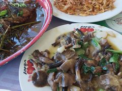 -庆岭迎宾园正宗活鱼馆