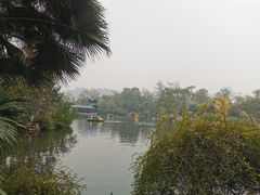 -桂湖森林公园