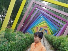 -合肥滨湖国家森林公园