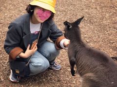 -费瑟代尔野生动物园