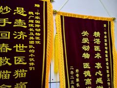 -中农国际动物医院24小时·猫科·骨科·急重症中心