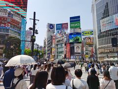 -涩谷区