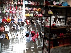 -猫咪博物馆(顶澳仔猫街店)