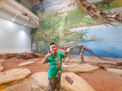 -自贡恐龙博物馆