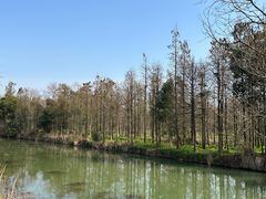 -艾溪湖湿地公园