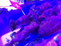 -蛙来哒(正荣财富店)
