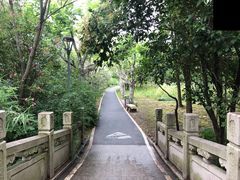 -新江湾城公园