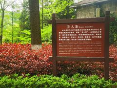 -莫干山风景区
