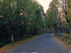 -上海海湾国家森林公园