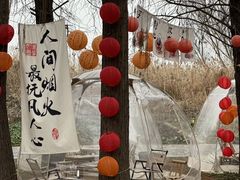 -同里国家湿地公园