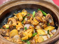 -一品美食城(石碣序伦小学店)