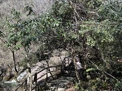 -东天目山风景区