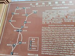-大岭沟猕猴桃谷风景区