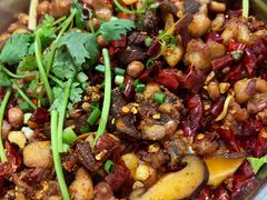 -食神又名厕所兔