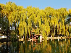 -高庙保安寺