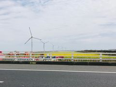 -上海长兴岛郊野公园