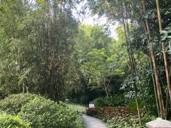 -广州兰圃