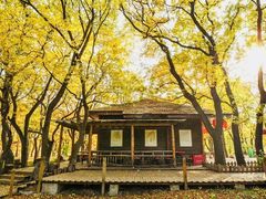 -国家植物园南园