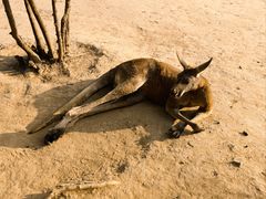 -济南野生动物世界