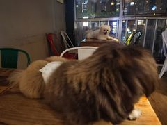 -M-3 PUB(创智天地店)
