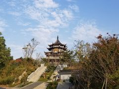 -太湖湖滨国家湿地公园-停车场