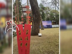 -灵隐飞来峰景区