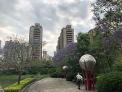 -金山公园