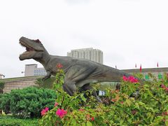 -陕西自然博物馆