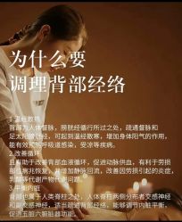 点击看大图 -玛莲朵·海菲秀冰珀科