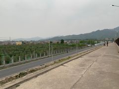 -静之湖湖畔餐厅