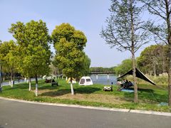 -贡湖湾湿地公园