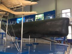 -上海海洋大学鱼文化博物馆(军工路校区)