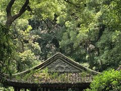 -忠山公园