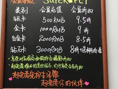 -超宠爱宠物摄影-Super pet