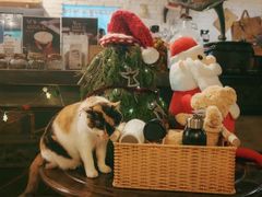 -BUND·FIVE外滩5号(天际店)