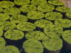 -发酵食堂(屏风街店)