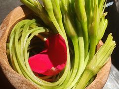 -芸山季·云南山珍菌火锅(万象前海店)