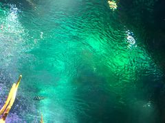 -沈阳海洋探索中心