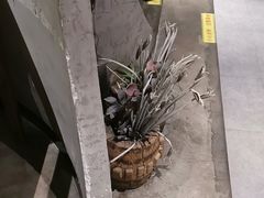 -红蕃干锅·脆皮香辣虾(南屏街金鹰店)