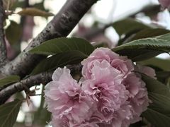 -幕燕滨江·燕子矶公园