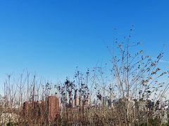 -南翠屏公园